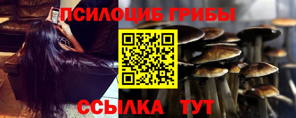 Псков  Галлюциногенные грибы мухоморы  Псилоцибиновые грибы ЛСД  Вход с VPN 